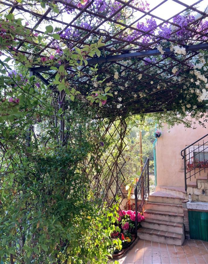 La Casina Delle Rondini Guest House Corsanico-Bargecchia Ngoại thất bức ảnh