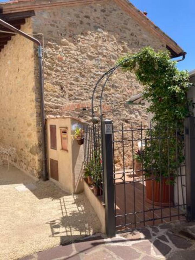La Casina Delle Rondini Guest House Corsanico-Bargecchia Ngoại thất bức ảnh