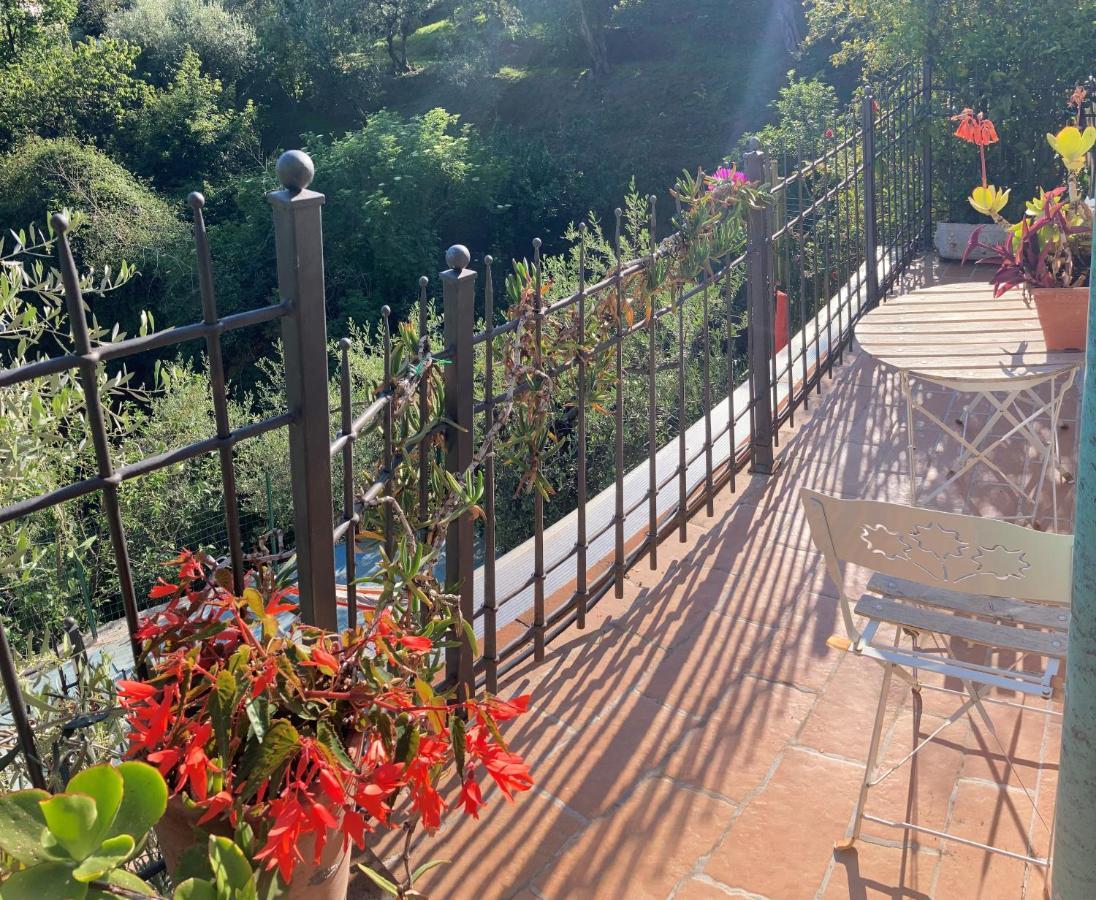 La Casina Delle Rondini Guest House Corsanico-Bargecchia Ngoại thất bức ảnh