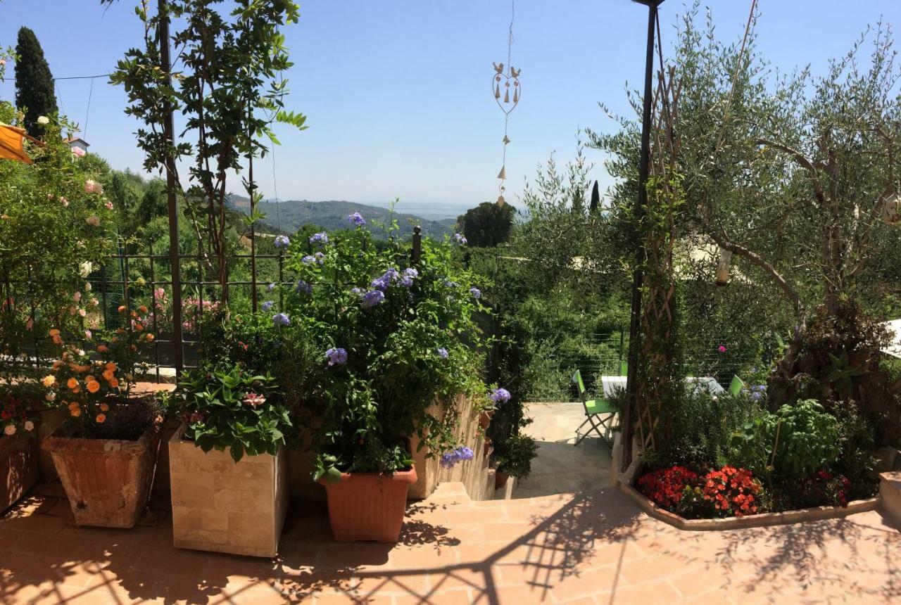 La Casina Delle Rondini Guest House Corsanico-Bargecchia Ngoại thất bức ảnh